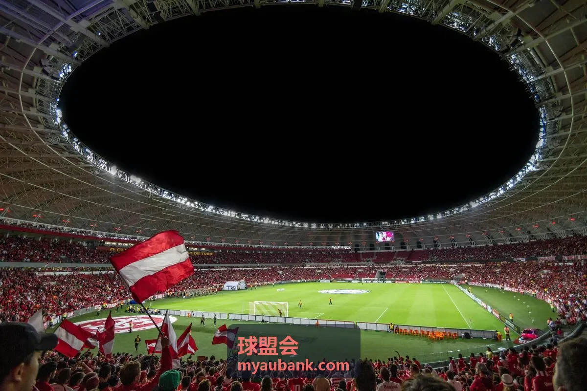 球盟会全球连接背景